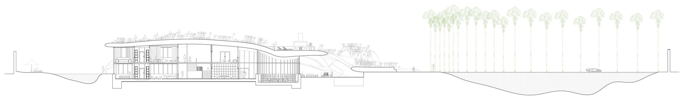The Storm of Gold Dust Villa, Section