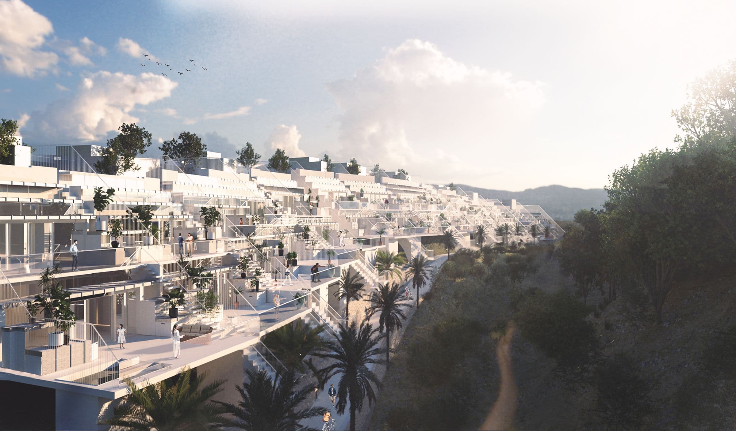 From the hillside