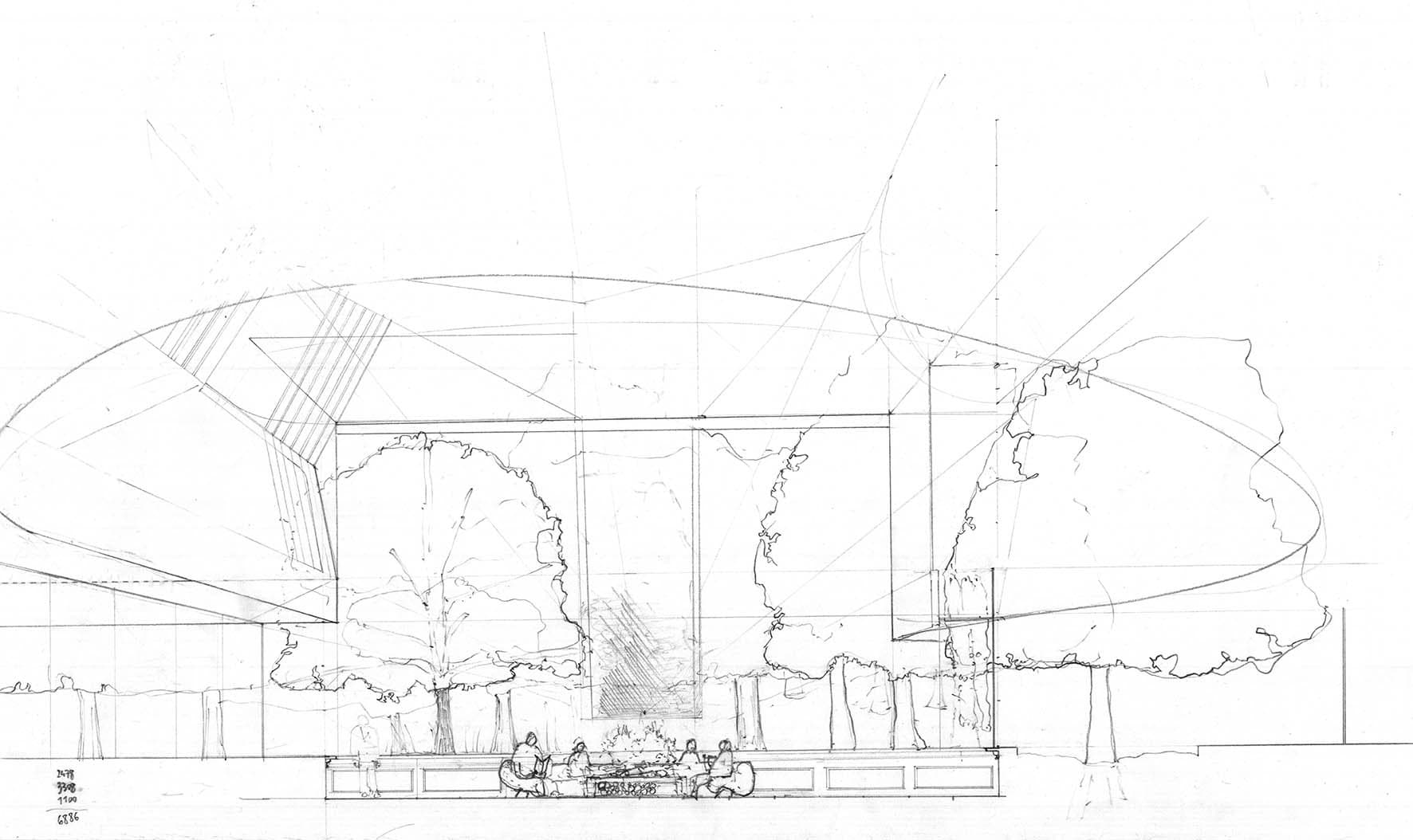 House in La Moraleja II, Sketch of the undergrowth